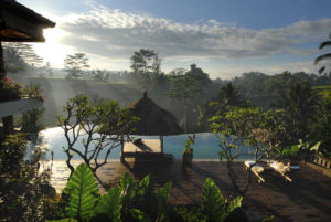 Why Invest in a Bali Property?