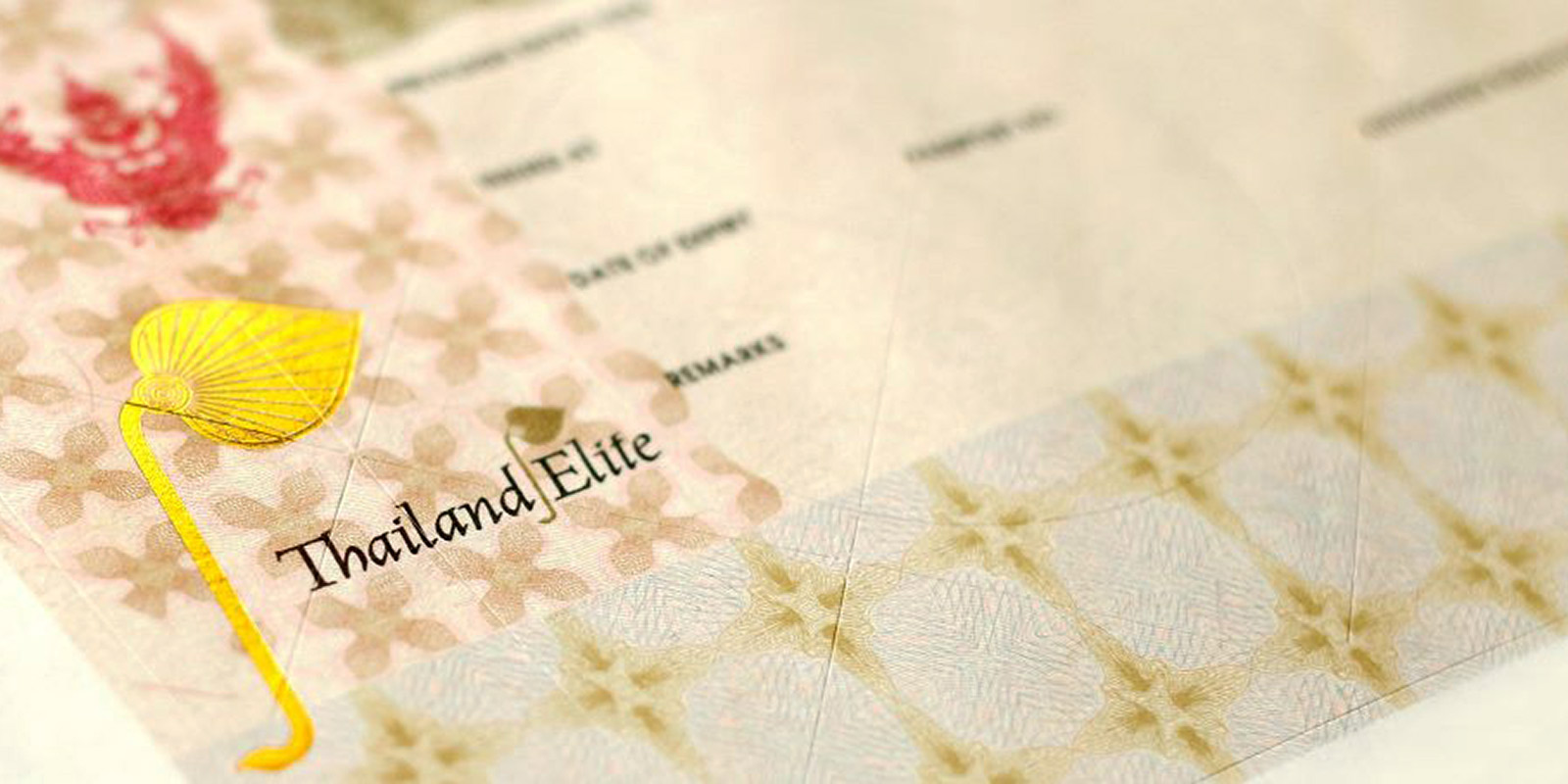 Visa stay. Thailand Elite. Thailand Elite visa. Оформление визы Таиланд фон клипарт. Элита Тайланда.